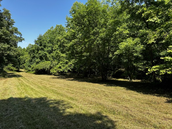 Tract 11 at The Woods on Wayne National Forest - Gallia County, Ohio - 12.9 acres