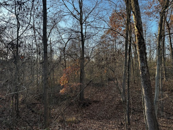 Tract 1 - The Woods at Dutch Ridge - Perry County, Ohio - 7.0 acres