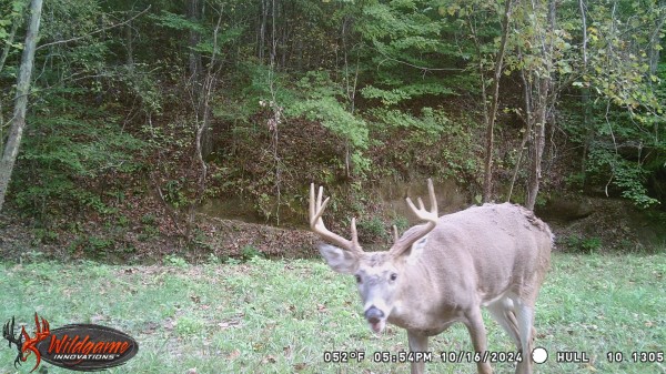 Skyline Cabin - The Woods on Wayne National Forest - Gallia County, Ohio - 12.1 acres