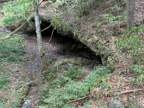 Tract 11 at Albany Woods - Meigs County, Ohio - 13.0 acres
