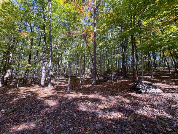 Tract 7 - Easterday Woods - Ross County, Ohio - 1.5 acres