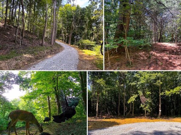 Tract 10 at The Woods at Titus - Jackson County, Ohio - 5.1 acres