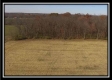 More of Hayden Run Woods