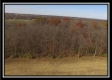 More of Hayden Run Woods