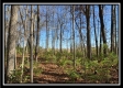 Hayden Run Woods property photo