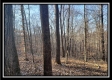 More of Hidden Valley Retreat on Wayne