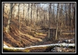 Hidden Valley Retreat on Wayne property photo