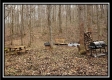 Hidden Valley Retreat on Wayne property photo