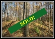 Tract 12 at Weber Walker Farm