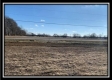 More of Tract 12 at Weber Walker Farm