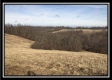 More of Tract 4 Orpheus Ridge