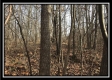 More of Tract 6 Orpheus Ridge