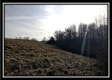 More of Tract 6 Orpheus Ridge