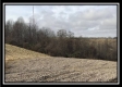 More of Tract 6 Orpheus Ridge