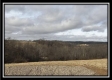 More of Tract 6 Orpheus Ridge