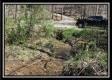 Tract 1 - Coon Hollow property photo