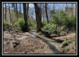 Tract 1 - Coon Hollow property photo