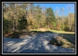 More of Tract 7 - Coon Hollow