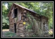 More of Coon Hollow Tract 8
