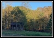 More of Coon Hollow Tract 8