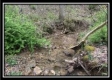 Coon Hollow Tract 8 property photo