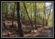 Coon Hollow Tract 8 property photo
