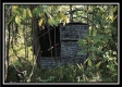 More of 10.5 Ac State Park Retreat
