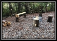 More of 10.5 Ac State Park Retreat