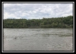 More of 10.5 Ac State Park Retreat