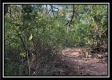 10.5 Ac State Park Retreat property photo