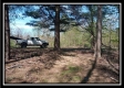 More of The Pines at Mainesville-Tract 2