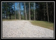 More of The Pines at Mainesville-Tract 2