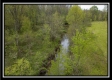 More of Whitetail Run