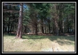 The Pines at Mainesville-Tract 3 property photo