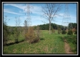 More of The Pines at Mainesville- Tract 4