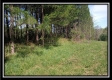 More of Tract 6 - The Pines at Mainesville