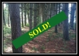 The Pines at Mainesville- Tract 7