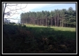 The Pines at Mainesville- Tract 7 property photo