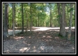 More of 3110 Alice Road