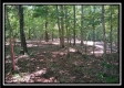 More of 3110 Alice Road