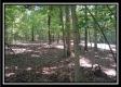 More of 3110 Alice Road