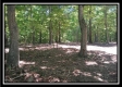 3110 Alice Road property photo