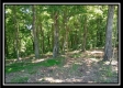 More of 1258 McCarley Road