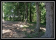 More of 1258 McCarley Road