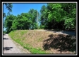 More of 1258 McCarley Road