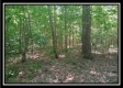 More of 3144 Alice Road