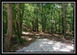 More of 1157 McCarley Road