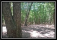 More of 1157 McCarley Road