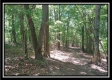 1157 McCarley Road property photo