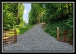 More of Big Timber Ridge at Tar Hollow